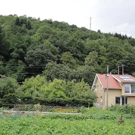 Gite Plein Sud Metzeral Esterno foto