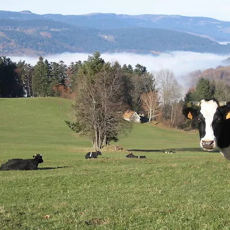 Gite Plein Sud Metzeral Esterno foto
